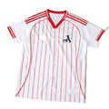 Arsenal Baseball Concept Fan Edition
