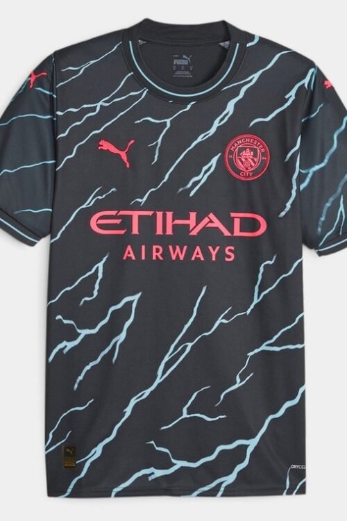 Manchester City Third player Edition