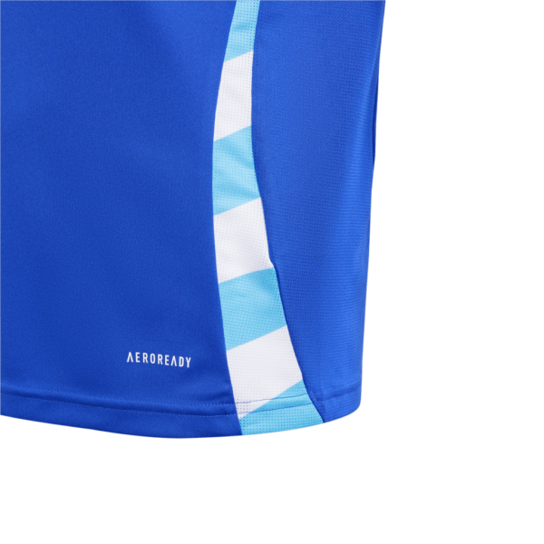 Argentina Away Copa 2024 Fan Edition - Image 4