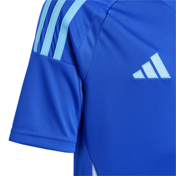 Argentina Away Copa 2024 Fan Edition - Image 5