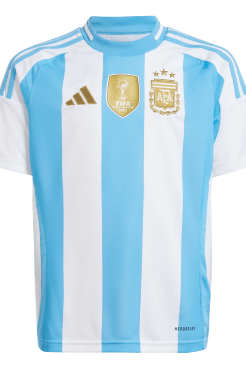 Argentina Home Copa 2024 Fan Edition