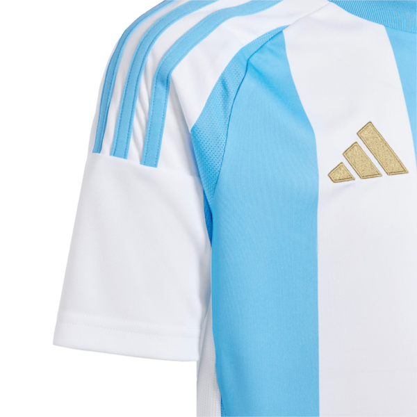 Argentina Home Copa 2024 Fan Edition - Image 3